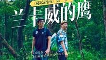 天津杜大娘的“碰瓷”10年：极少失手，带着儿子儿媳一起“碰”