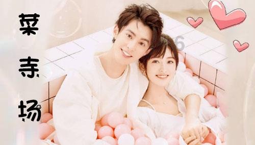 寻找丢失的婴儿