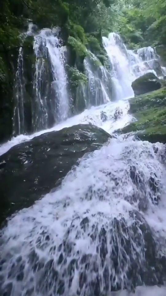 德古拉伯爵的住所