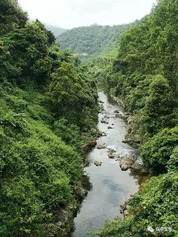 探索冷知识的不想起床,不想做饭平台